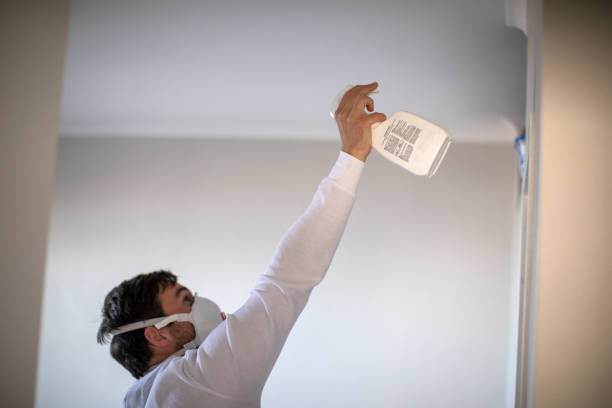 Best Best Mold Removal Companies  in Forrest, IL